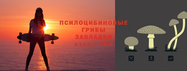 ПСИЛОЦИБИНОВЫЕ ГРИБЫ Абинск