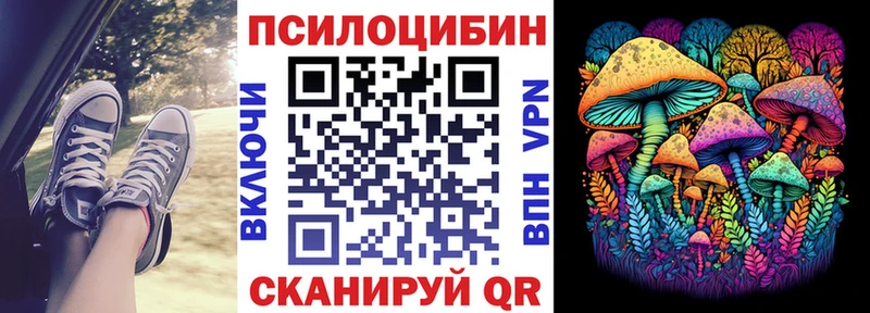 продажа наркотиков  Мосальск  Галлюциногенные грибы MAGIC MUSHROOMS 